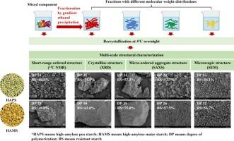 Influence of fractions with different molecular weight distributions from high-amylose starches on their digestibility after recrystallization