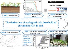 Ecological risk threshold for chromium in Chinese soils and its prediction models