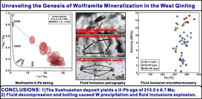 Unraveling the genesis of wolframite mineralization in the West Qinling Belt, China: Evidence from geochronology, geochemistry, and fluid inclusion study