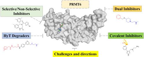 Overview of the PRMT6 modulators in cancer treatment: Current progress and emerged opportunity