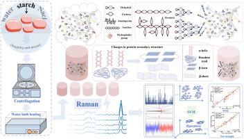 Investigating the change mechanism and quantitative analysis of minced pork gel quality with different starches using Raman spectroscopy