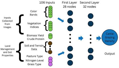 Predicting spatiotemporal patterns of productivity and grazing from multispectral data using neural network analysis based on system complexity