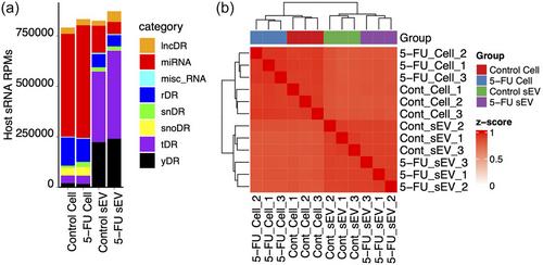 5-Fluorouracil treatment represses pseudouridine-containing miRNA export into extracellular vesicles