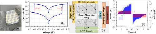 256-level honey memristor-based in-memory neuromorphic system