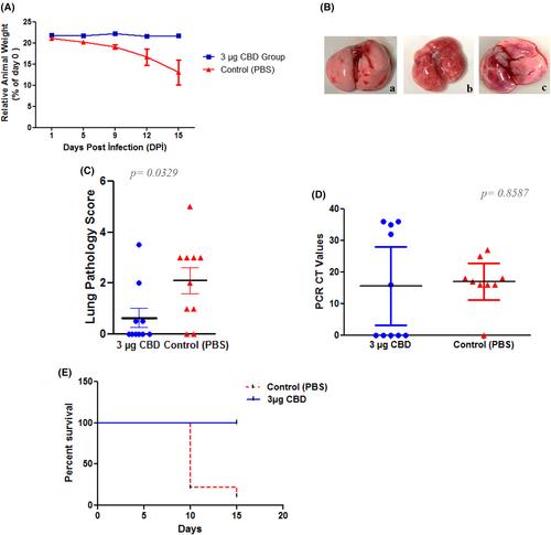 Antiviral effect of cannabidiol on K18-hACE2 transgenic mice infected with SARS-CoV-2