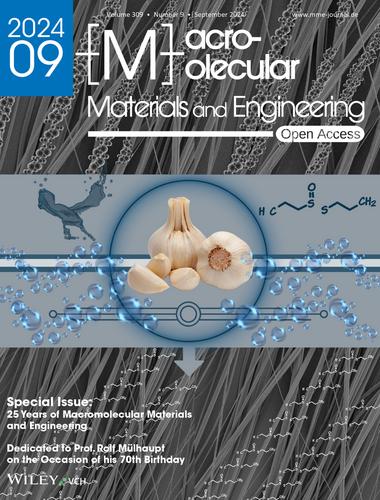 Biomedical Efficacy of Garlic-Extract-Loaded Core-Sheath Plasters for Natural Antimicrobial Wound Care