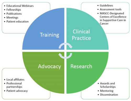 Global disparities in cancer supportive care: An international survey