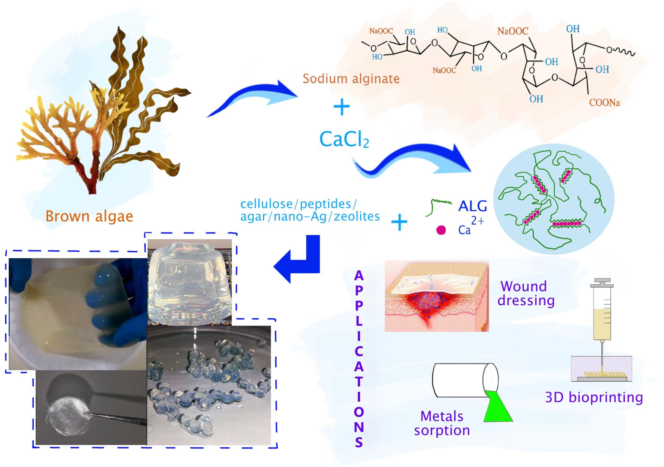 Alginate as a Sustainable and Biodegradable Material for Medical and Environmental Applications—The Case Studies