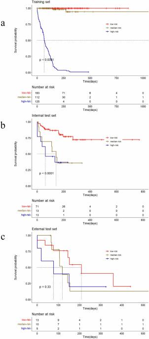 Predicting prognosis for epithelial ovarian cancer patients receiving bevacizumab treatment with CT-based deep learning