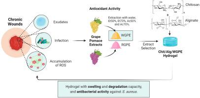 Exploring grape pomace extracts for the formulation of new bioactive multifunctional chitosan/alginate-based hydrogels for wound healing applications