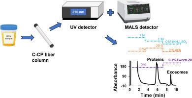 Isolation and quantification of human urinary exosomes using a Tween-20 elution solvent from polyester, capillary-channeled polymer fiber columns