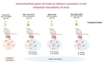 Interesterified palm oil leads to distinct variation in the intestinal microbiota of mice