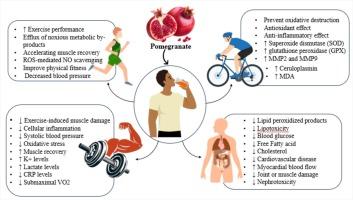 The power of pomegranate as natural supplement remedy for sportsmen and athletes: A systematic review and meta-analysis