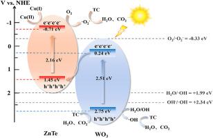 Visible-light-driven Z-scheme ZnTe/WO3 heterojunction for simultaneous elimination of tetracycline and Cu(II)