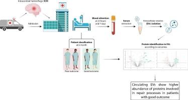 The proteomic signature of circulating extracellular vesicles following intracerebral hemorrhage: Novel insights into mechanisms underlying recovery