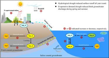 Drought reduces nitrogen supply and N2O emission in coastal bays