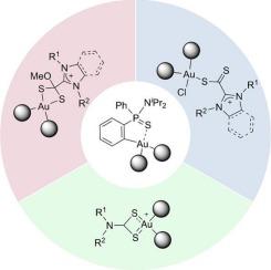 In the search for new gold metalloantibiotics: In vitro evaluation of Au(III) (C^S)-cyclometallated complexes