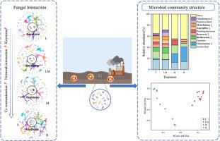 Chromium contamination affects the fungal community and increases the complexity and stability of the network in long-term contaminated soils