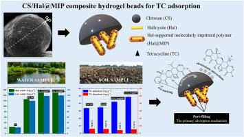 Chitosan-based hydrogel beads with molecularly imprinted receptors on halloysite nanotubes for tetracycline separation in water and soil