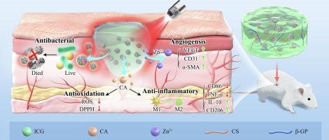 Enhanced diabetic foot ulcer treatment with a chitosan-based thermosensitive hydrogel loaded self-assembled multi-functional nanoparticles for antibacterial and angiogenic effects