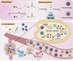 Dual role of triglyceride structures facilitates anti-tumor drug delivery: Both as a self-assembling module and a responsive module