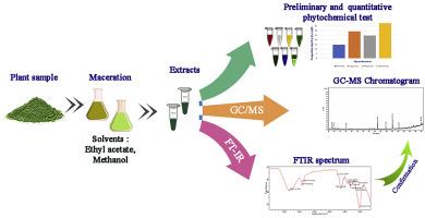 Phytochemical screening and quantitative analysis, FTIR and GC-MS analysis of Costus pictus D. Don ex Lindl. Leaf extracts – A potential therapeutic herb