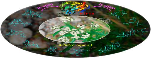 Terpenoids and steroids from aerial parts of Achillea alpina L. as PTP1B inhibitors: Kinetic analysis and molecular docking studies