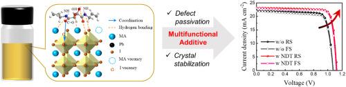 Enhancing photovoltaic performance and stability of inverted perovskite solar cells via multifunctional molecular additive