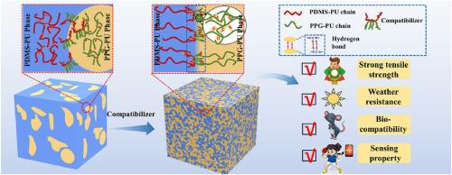 Blends of polydimethylsiloxane-based polyurethane and poly (propylene glycol)-based polyurethane with co-continuous structures: Morphology evolution, synergistic effects and application in strain sensors