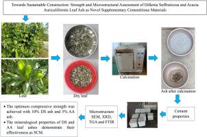 Towards sustainable construction: Strength and microstructural assessment of Dillenia suffruticosa and Acacia auriculiformis leaf ash as novel supplementary cementitious materials