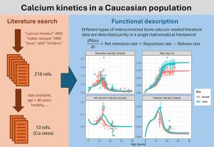 Calcium kinetic rates in Caucasian males and females from birth to adulthood