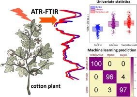 Detection of Verticillium infection in cotton leaves using ATR-FTIR spectroscopy coupled with machine learning algorithms