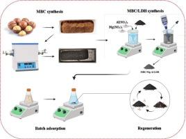 Macadamia nut shell biochar/Mg-Al LDH composite: A sustainable solution for highly effective phosphate ion removal from water