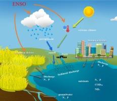 Cascading effects of human activities and ENSO on the water quality of Poyang Lake in China