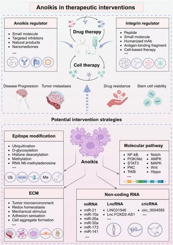 Anoikis in cell fate, physiopathology, and therapeutic interventions