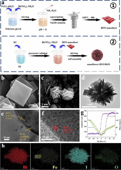 Hierarchical Bi2Fe4O9/BiOI S-scheme heterojunctions with exceptional hydraulic shear induced photo-piezoelectric catalytic activity