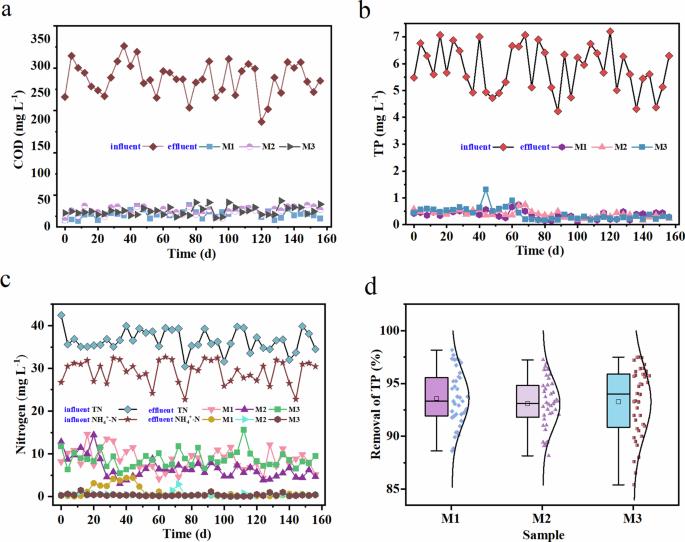 Synergistic phosphorus removal mechanism of Tetrasphaera enrichment in a micro-pressure swirl reactor