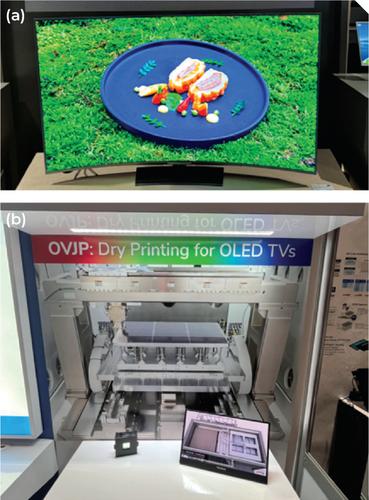 OLED Showcases Its True Colors, and Flexible Displays Gain Prominence