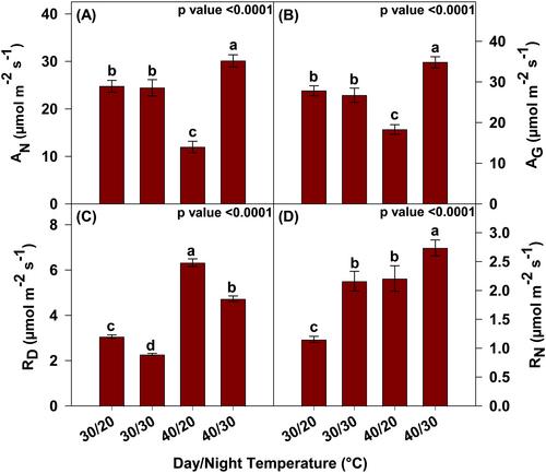 Distinguishing High Daytime From Nighttime Temperature Effects During Early Vegetative Growth in Cotton