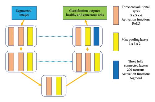 A Novel Self-Attention Transfer Adaptive Learning Approach for Brain Tumor Categorization