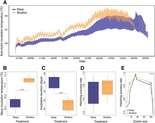 DNA Methylation Carries Signatures of Sublethal Effects Under Thermal Stress in Loggerhead Sea Turtles