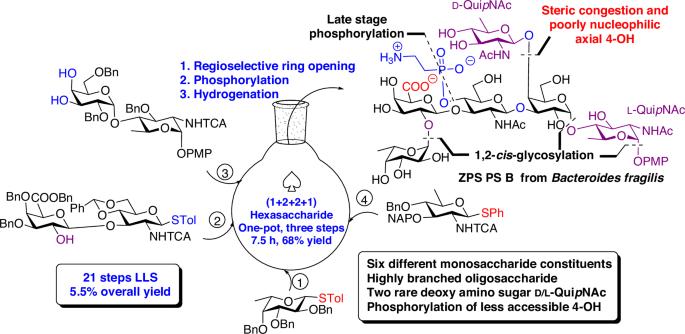 Total synthesis of a structurally complex zwitterionic hexasaccharide repeating unit of polysaccharide B from Bacteroides fragilis via one-pot glycosylation