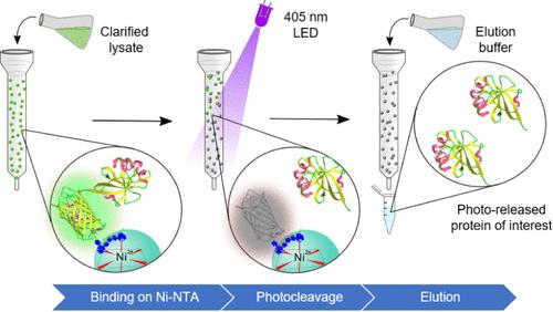 Light-Activated Molecular Purification (LAMP) of Recombinant Proteins