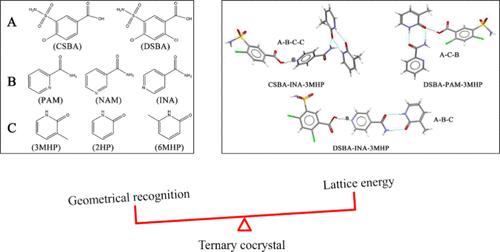 Effect of the Functional Group Position in Coformers on Ternary Cocrystals: A Case of Sulfamoylbenzoic Acids