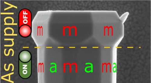 Unveiling the Growth Mode Switching Role of As in the Formation of Dodecagonal/Hexagonal GaN Microrods
