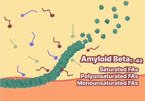 Nanoscale Structural Characterization of Amyloid β 1–42 Oligomers and Fibrils Grown in the Presence of Fatty Acids