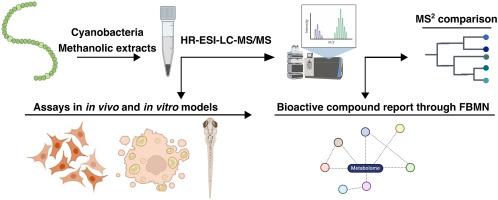 Metabolite profiling and bioactivity assessment of cyanobacteria from the Azores reveals unique producers of cytotoxic and lipid reducing compounds