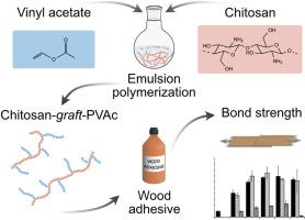 Chitosan-graft-poly(vinyl acetate) for wood-adhesive applications