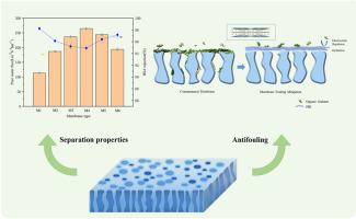 Enhancement of antifouling and separation properties of poly(m-phenylene isophthalamide) hybrid ultrafiltration membrane using highly crystalline poly(heptazine imide) nanosheets