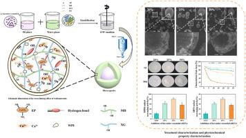 Sustained-release effect of eggshell powder microcapsules on lavender essential oil